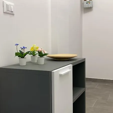 Mazzini Bologna